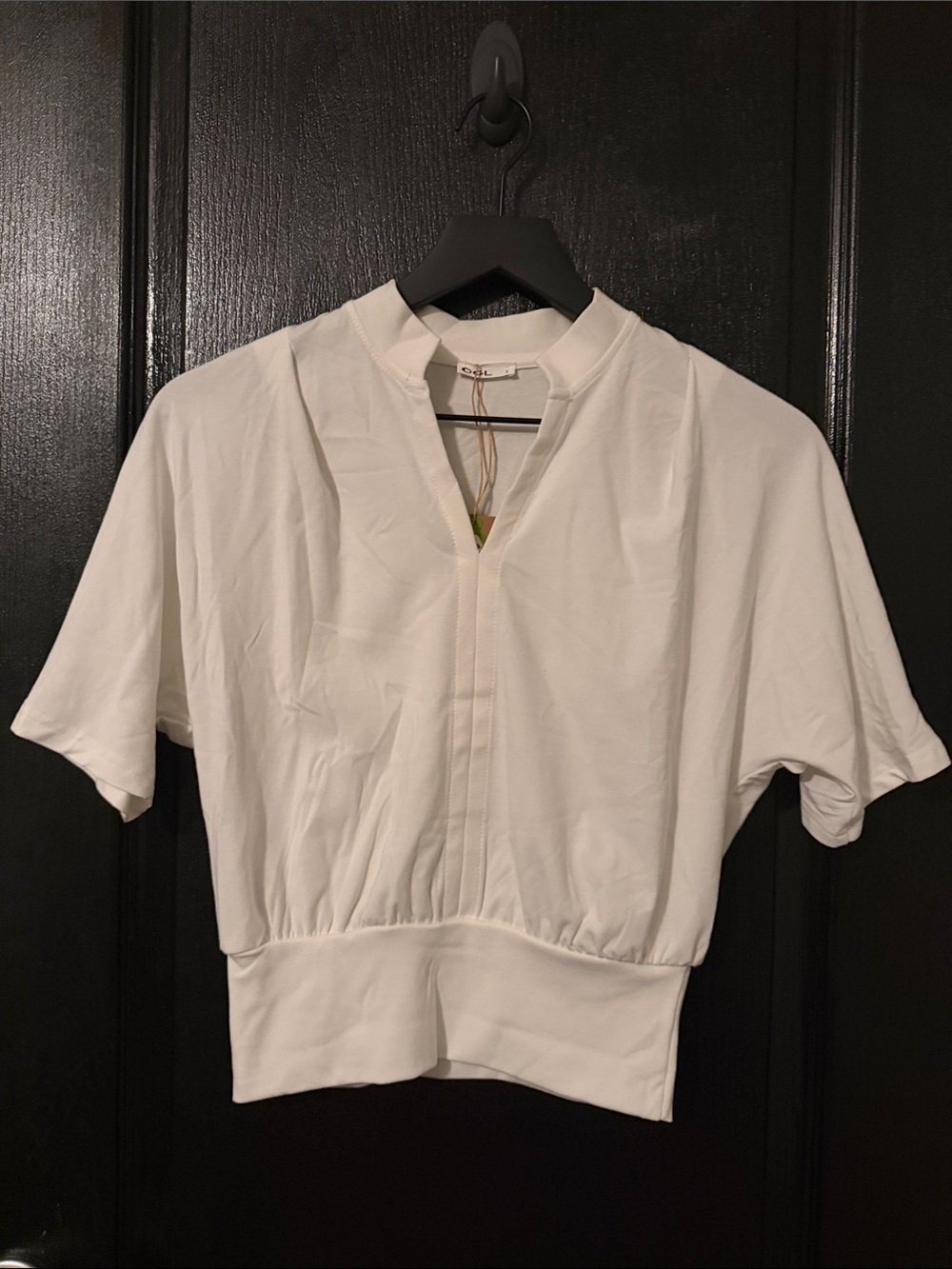 OGL Stand Collar V-Neck Short Sleeve Top